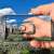 Why Every Small Business Needs a Technology Roadmap